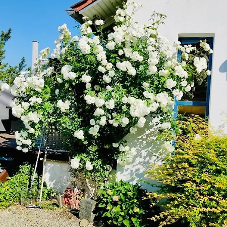 Anette's Nettes Dachjuchhe Apartment Hofheim in Unterfranken