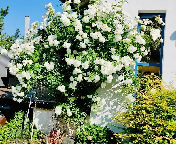 Anette's Nettes Dachjuchhe Apartmán Hofheim in Unterfranken